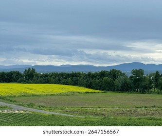 Fields in île d’Orléans, Québec 