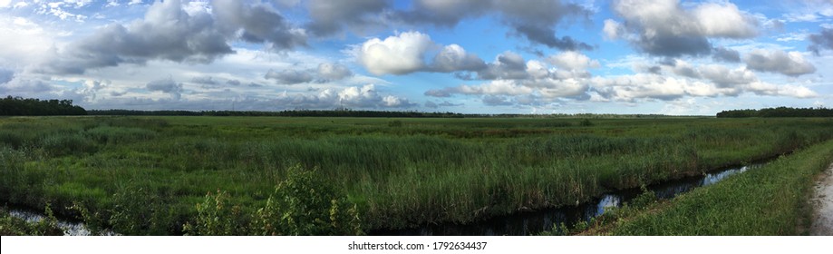 Fields In Alligator River National Wildlife Refuge, North Carolina