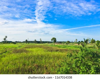 Fields with beautiful sky.
