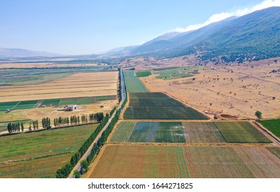 Fields Of Beqaa Valley Lebanon 