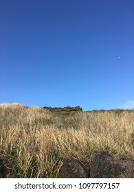 Fields and blue sky
