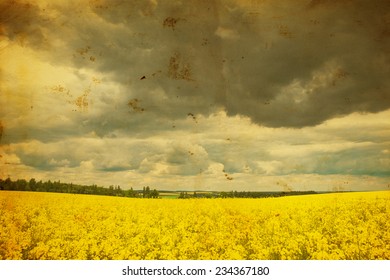 fields and blue sky background 