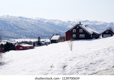 Fields covered with snow in spring