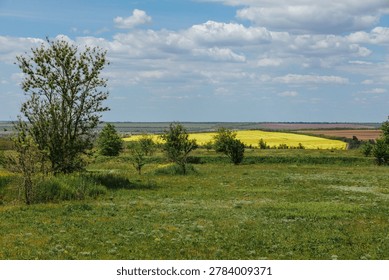 Fields of crops and trees under a cloudy sky in a rural area during daytime