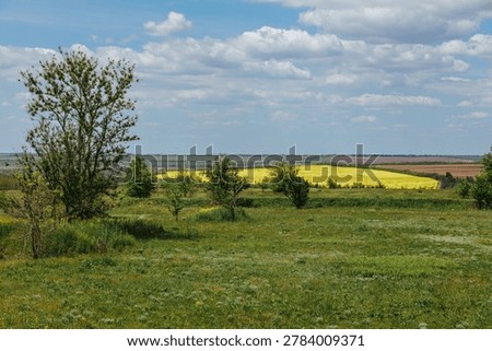 Fields of crops and trees under a cloudy sky in a rural area during daytime