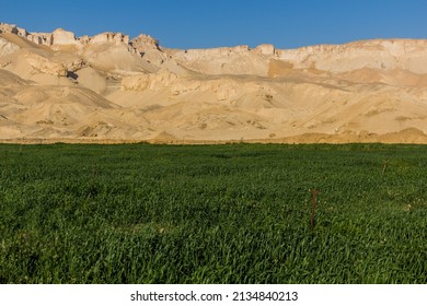 Fields In Dakhla Oasis, Egypt