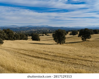 Fields of dry grass stretch into the distance with scattered trees. The sky shows blue and white clouds. The sun is setting creating soft light over the land in a rural location.