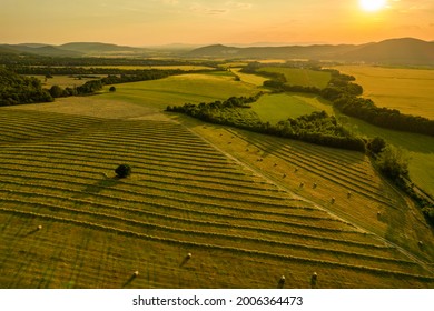 Fields of freshly cut grass prepared for hay production. Aerial view of a cultivated farmland in Slovakia.  - Powered by Shutterstock