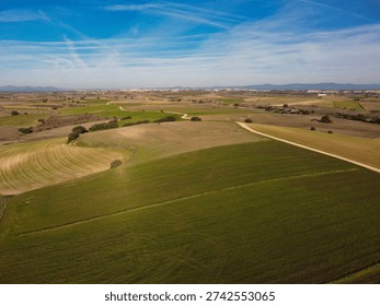 Fields of grass and crops lay flat under a bright sky. Winding dirt paths cut through the land, showing the vastness of the area. Trees dot the landscape, creating a natural scene.