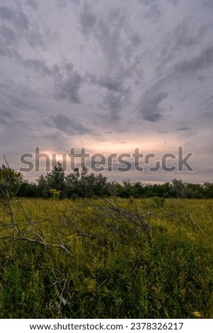 The field's greenness contrasts with the foreboding stormy sunset