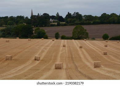 Fields Of Harvested Wheat, Great Finborough,  Suffolk, England, UK 2022