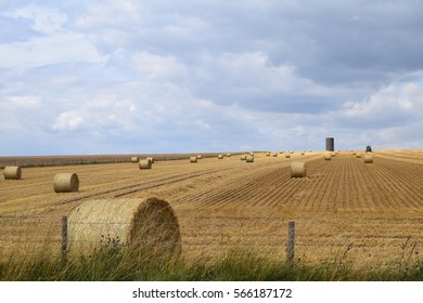 Fields of Hay 
