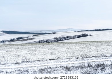 Fields and hills are covered with a thick layer of snow. The landscape shows a winter scene with a gray sky and distant trees. The quiet countryside extends far into the horizon.