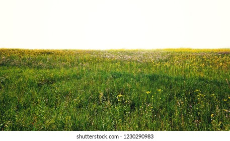 fields isolated on white background
