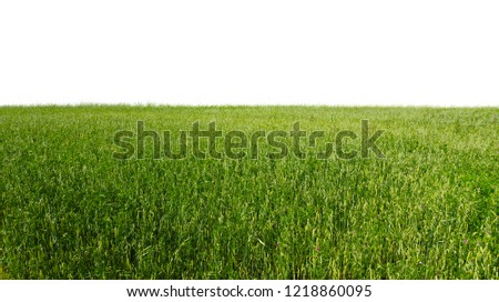 fields isolated on white background