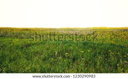 fields isolated on white background