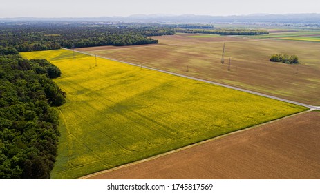 Fields landscape in historic city Ptuj, Slovenia