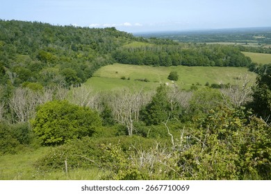 The fields looking over towards Steyning