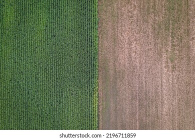 Fields In Mazowsze Region Of Poland