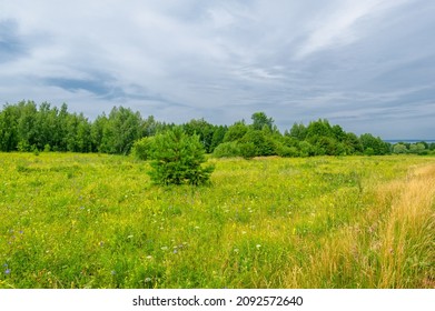 Fields, Meadows, Ravines Covered With Green Vegetation. Beautiful Blue Sky With White Fluffy Clouds. Summer Landscape Photography. European Part Of The Earth.