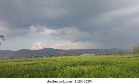 Fields And Mountains