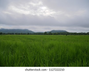 Fields with mountains and sky