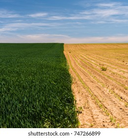 Fields and rates.