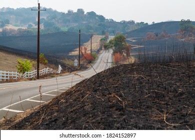 Fields Scorched By Wildfire Northern California