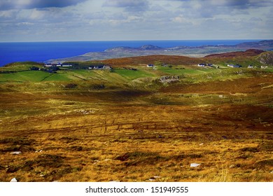 Fields and Sea