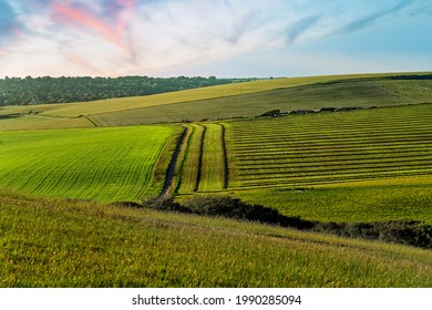 Fields In The South Downs, East Sussex, UK