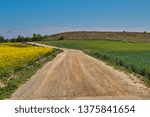 fields in spring