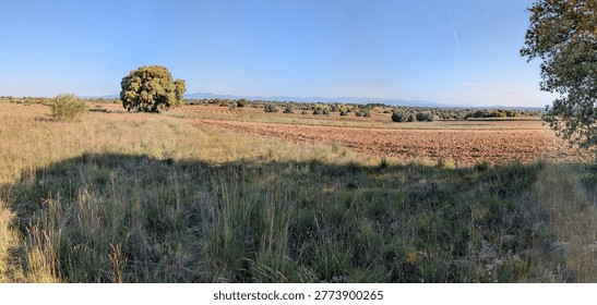 Fields stretch across the landscape with a single tree standing tall. The ground shows signs of farming. Mountains are visible in the distance under a clear sky.