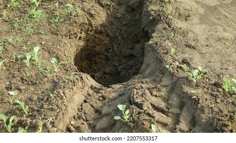 Fields Subsoil Erosion Damage Tractor Track Hole Pit Soil Inappropriately Managed Earth Land Degradation Field. Intensive Agriculture. Vadose Zone Poor Farm Farming Without Trees Draws.