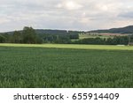 fields - summer landscsape next to schwandorf in bavaria