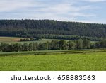 fields - summer landscsape with a lot of trees next to schwandorf in bavaria