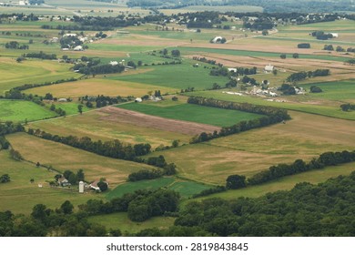 Fields Surrounded by Wind Breaks Into Distance - USA