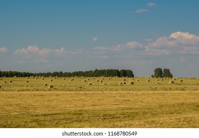 fields of Tatarstan