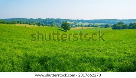 Fields and trees in a green hilly grassy landscape under a blue sky in sunlight in springtime, Voeren, Limburg, Belgium, June, 2023