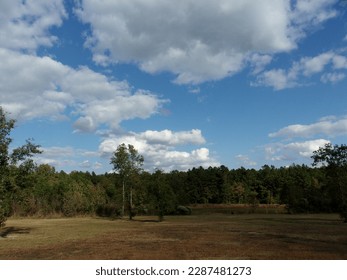 Fields and trees under a cloudy sky