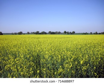 Fields Of The Uckermark