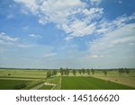 fields under the blue sky  