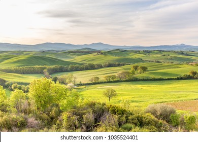 Fields with valleys and hills