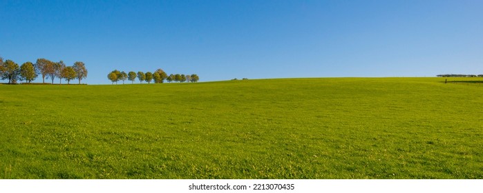 Fields and vegetables in a green hilly grassy landscape under a blue sky in sunlight in autumn, Voeren, Limburg, Belgium, October, 2022
 - Powered by Shutterstock
