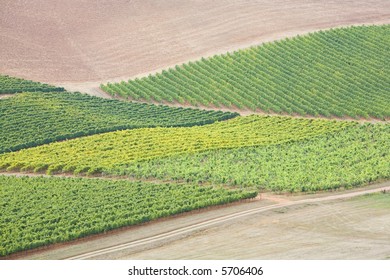 Fields Of Vegitables