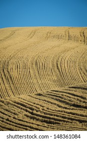 Fields Wheat Fields Ready Harvest Washington Stock Photo 148361084 ...