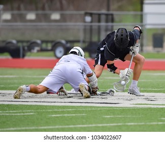 Fierce Lacrosse Action Between two teams in a Match - Powered by Shutterstock