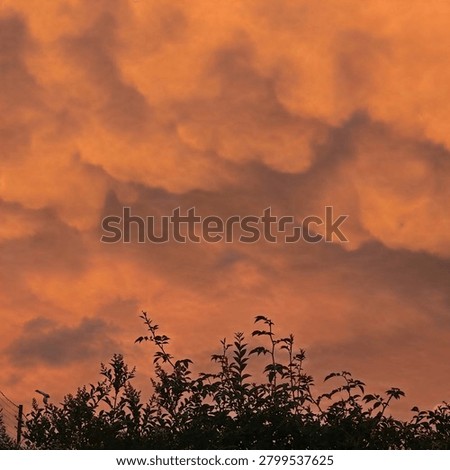 Fiery orange clouds fill the evening sky, creating a breathtaking atmospheric display. Perfect for themes of weather, nature, inspiration, and dramatic beauty.