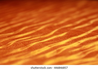 Fiery Ripples In A Wood Grain. Tiger Maple Acoustic Guitar.