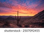 Fiery Sonoran Desert Sunrise with saguaro silhouette in the Majestic McDowell Mountains