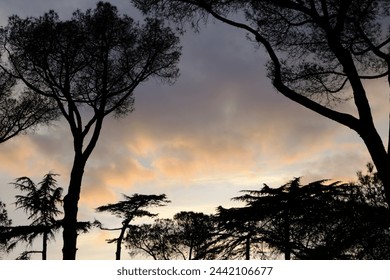 A fiery sunset blazes through the trees, casting a warm glow on an equestrian statue and creating a picture-perfect scene. - Powered by Shutterstock